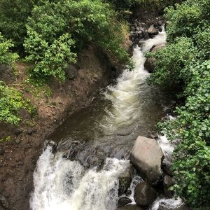 Meet your Poshers: Nia, Sofia, Alia